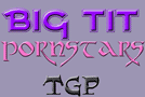 Big Tit Pornstars